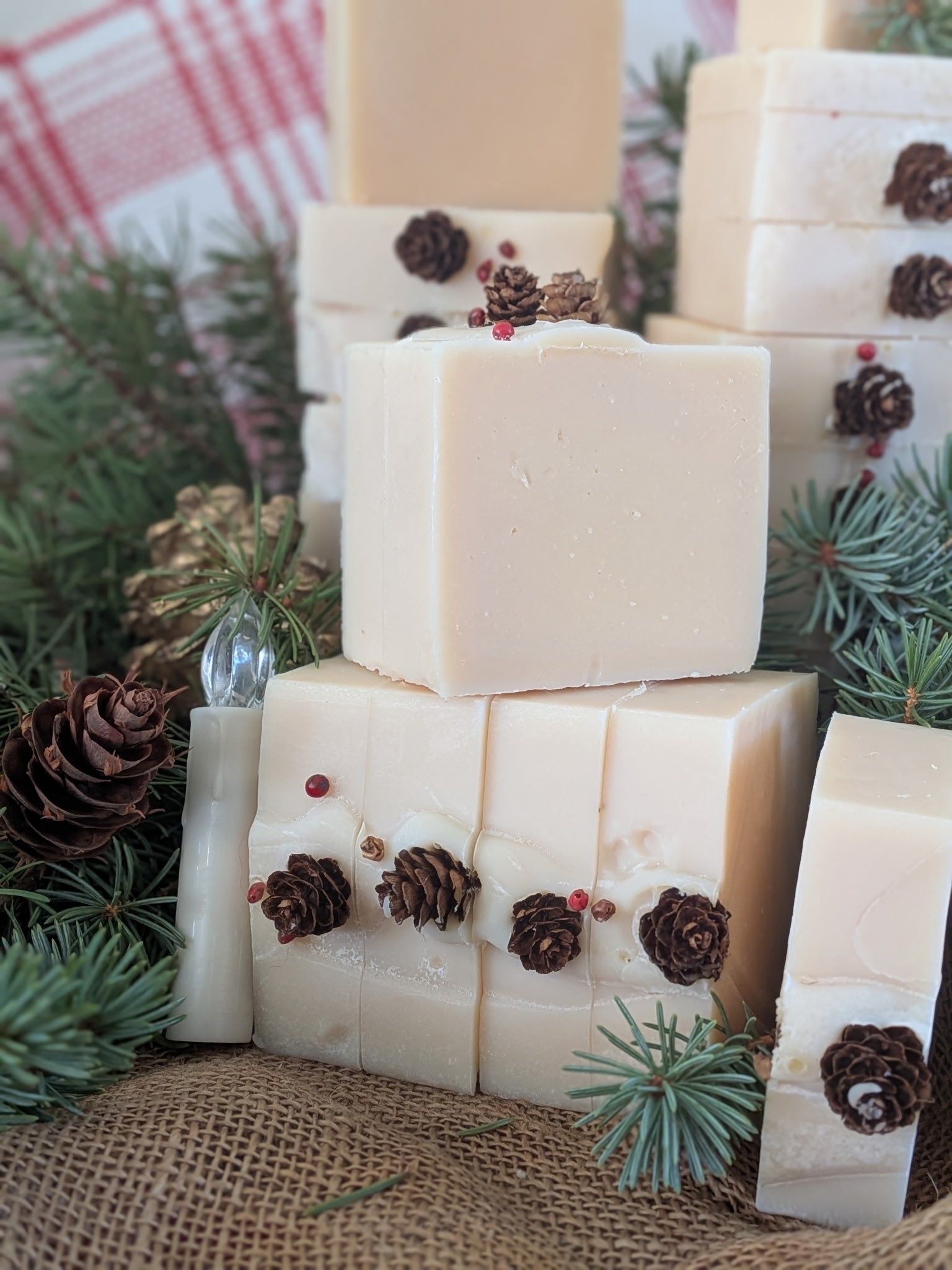 Forest Mint Goat Milk &Tallow Soap