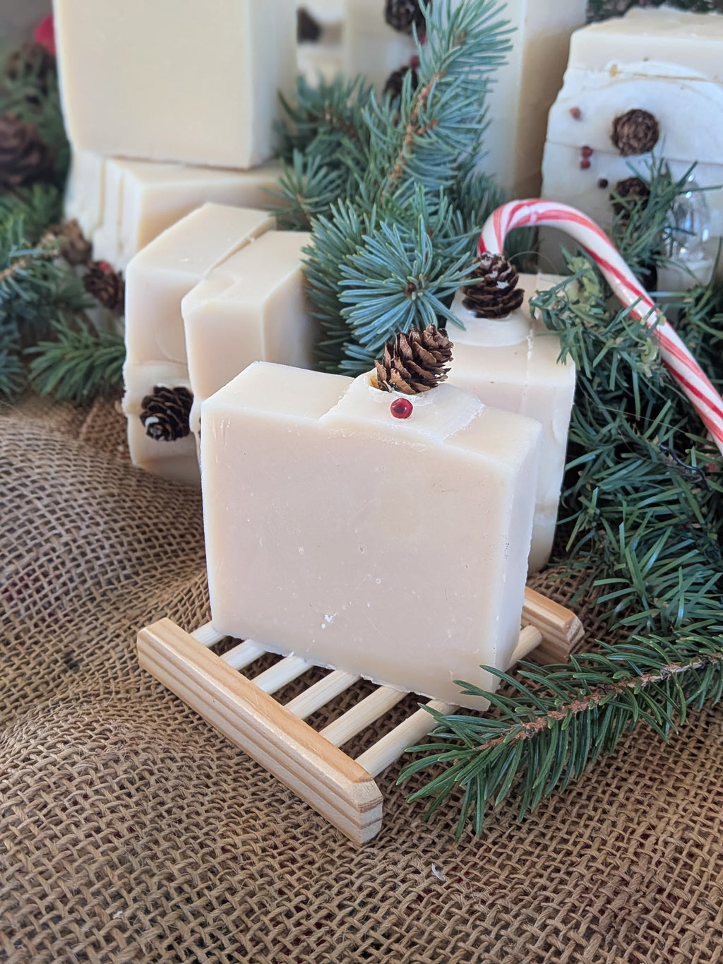 Forest Mint Goat Milk &Tallow Soap