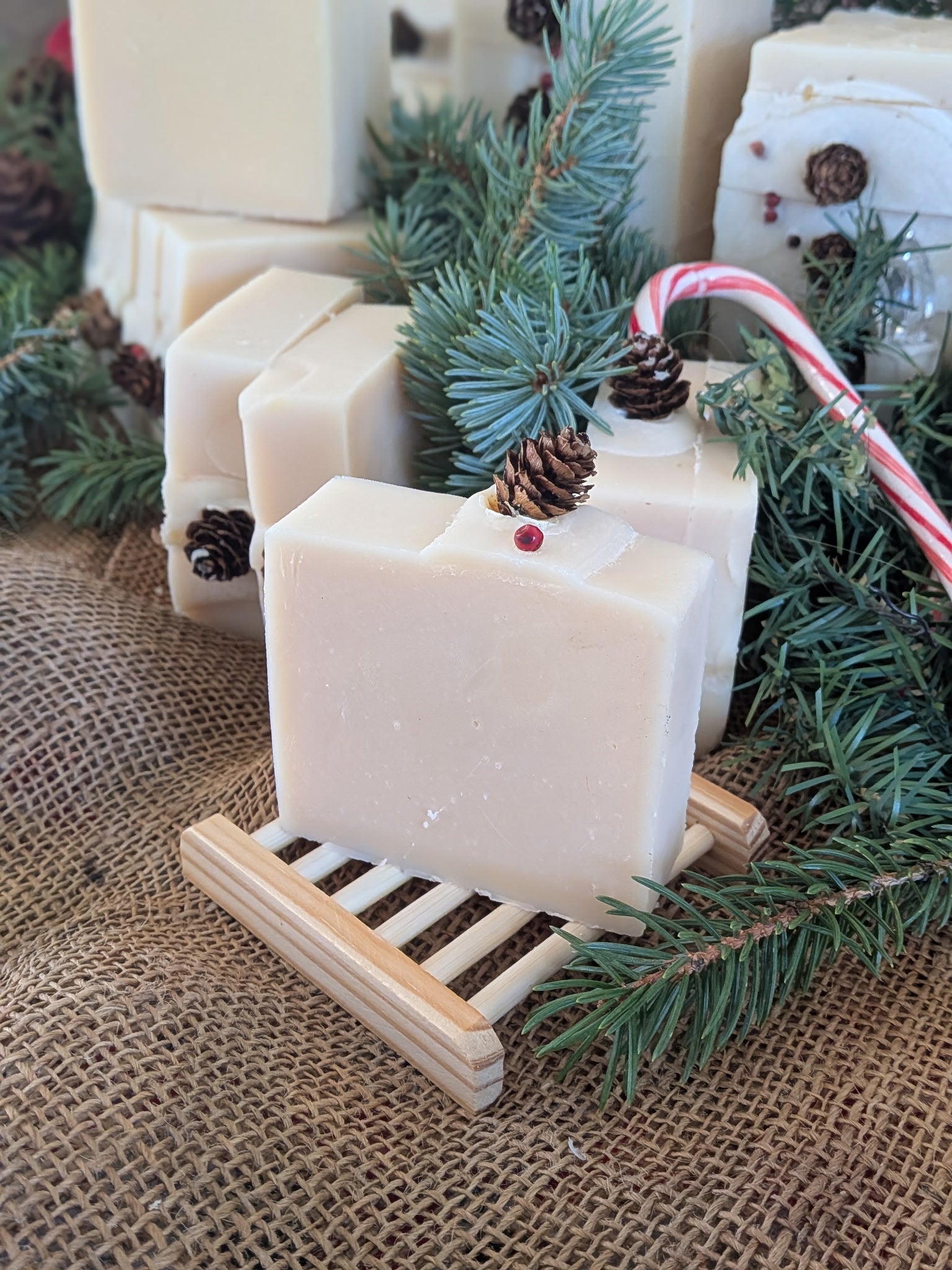 Forest Mint Goat Milk &Tallow Soap