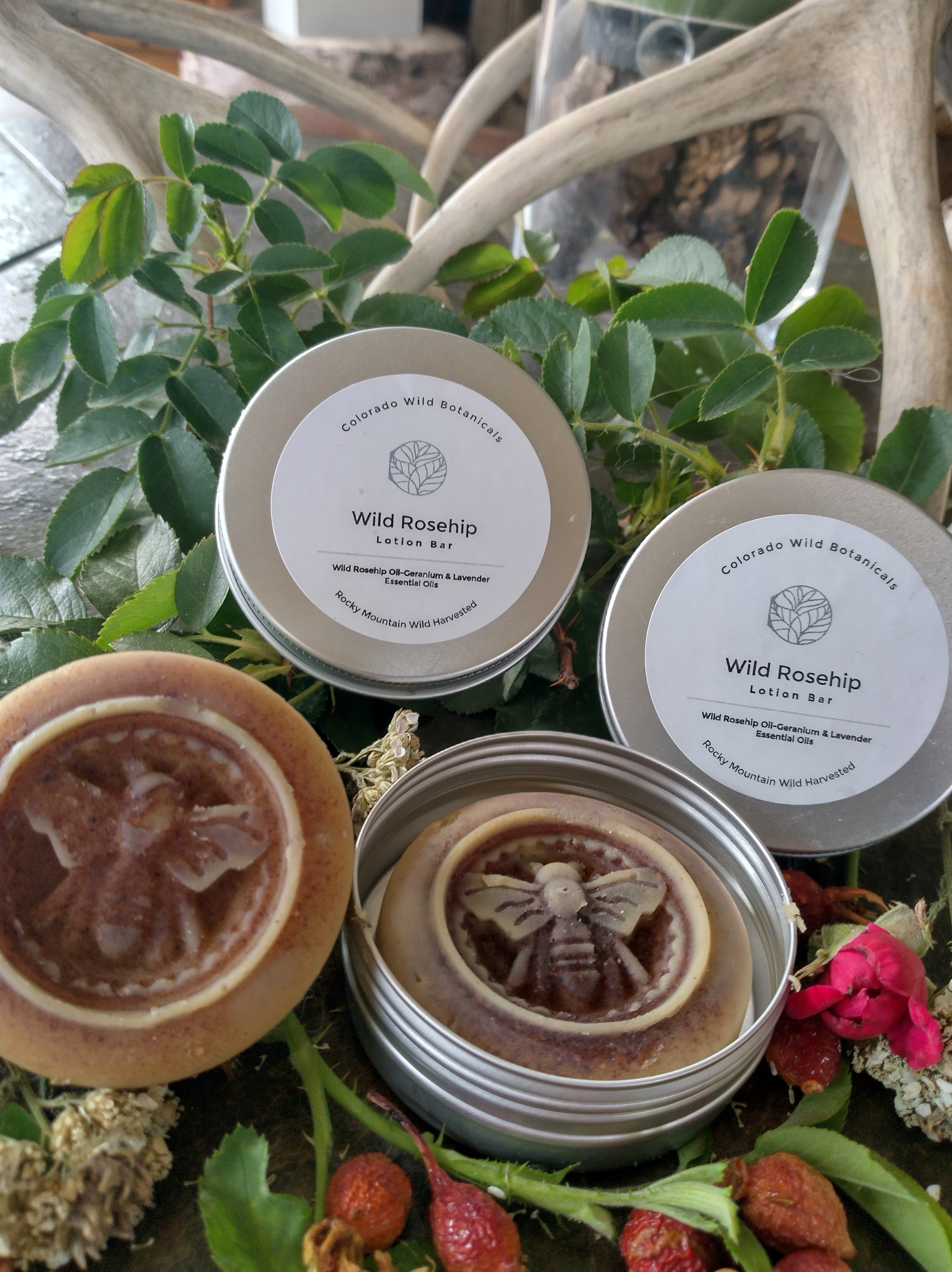 Wild Rosehip Lotion Bar