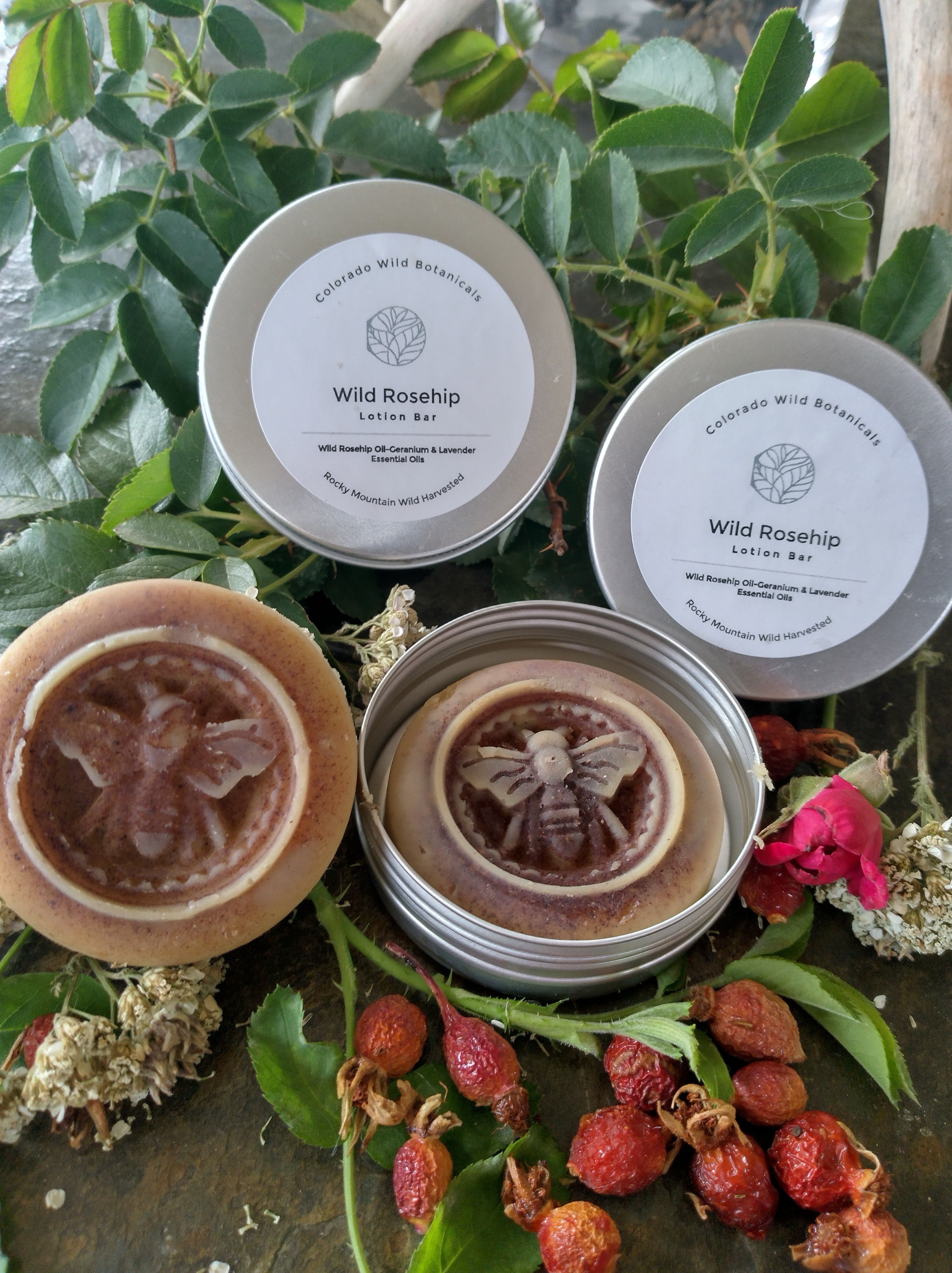 Wild Rosehip Lotion Bar