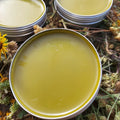 Pinon Herbal Salve